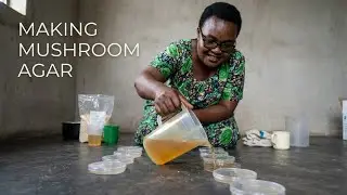 Okukola ensigo yobutiko Part three; Making agar petri dishes from scratch for mushrooms #luganda