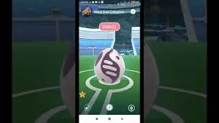 Mega Raid Blastoise VS 6 Ditto transformation in Mega Blastoise