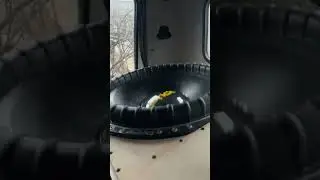 Готов к вопросам и критике )🙌 #bass #msst #subwoofer #automobile #speaker