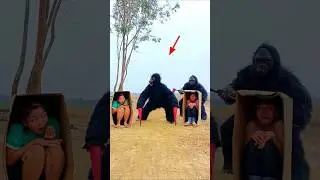 The Ferocious Giant Gorilla Monster Attacked The Brave Girl