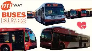MiWay Transit BUS Watching for all TRANSIT Fans