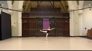 AUDITION VIDEO 2026