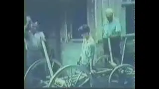 PEDRO STELLA - FERREIRO - IMIGRANTE ITALIANO