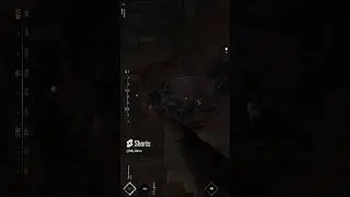ИМБА😎👌IMBA