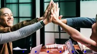 St Louis SEO | St Louis SEO Expert Consultants | Marketing Media Wizard