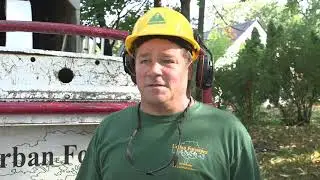 Stump Removal & Grinding in Minneapolis MN, details at YellowPages.com