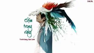 [Vietsub] Chim trong rừng - Cát Lâm [ 葛林 - 林中鸟]