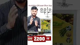Best Foliar Potash Spray in Pakistan.