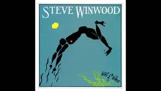 Steve Winwood        While You See A Chance