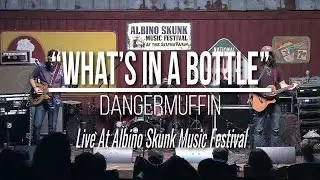 Dangermuffin - What's In A Bottle