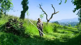 Landschaftspflege mit der Handsense &ndash;&nbsp;&auml;sthetisch & &ouml;kologisch