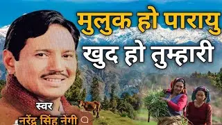 मुलुक हो परायु, खुद हो तुम्हारी ।। muluk ho parayu , khud ho tumhari, #naredrasinghnegioldsong