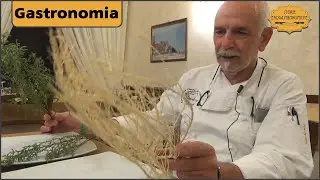 Salicornia del Gargano narrata da Franchino Sticozzi