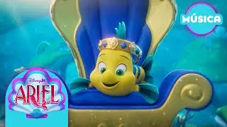 Disney Jr Ariel | Capit&aacute;n Flounder | Video Musical