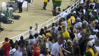 mascot gone wild 8