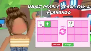 What people trade for a Flamingo!