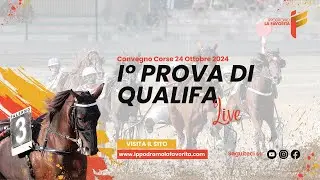 Live Prova di Qualifica del 19 Ottobre 2024 - 2 Anni - Metri 1600