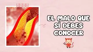 Colesterol Malo 😈