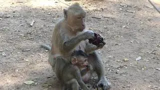 Cute Baby Happy Eating!!