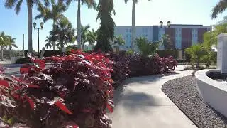 Let's visit and tour Historic Punta Gorda, Fl | Walk With Me