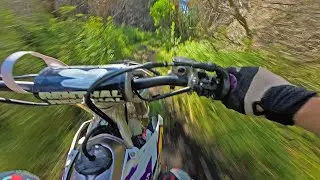 NEW ZEALAND SUMMERTIME TRAIL RIDE (RAW SOUND)
