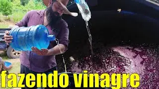 fazendo vinagre com bagaço de uva