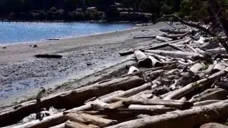 Mayne Island - a day trip