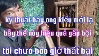 kỹ thuật bẫy ong kiểu mới lạ