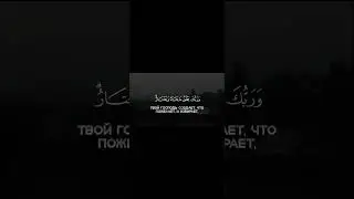 Сура Аль-Касас Аяты 65-69 Чтец Висхан Шишани
