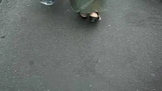 CIMG0252.AVI