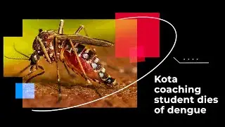 Kota coaching student dies of dengue