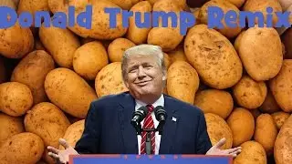 Donald Trump Funny Remix