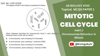 Mitotic Cell Cycle | AS Level Biology 9700 Topical MCQs | Part 2 | @biologybyhr