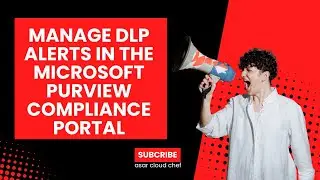 MANAGE DLP ALERTS IN THE MICROSOFT PURVIEW COMPLIANCE PORTAL
