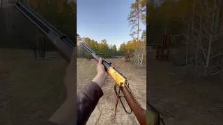 💥🇧🇷 &ldquo;Gold&rdquo; Rossi R92 in .357 Magnum Range Test in First Person