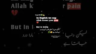 Allah Knows Your Pain | Powerful Islamic Reminder  🖤✍️ |#trending #shorts #viral #quotes