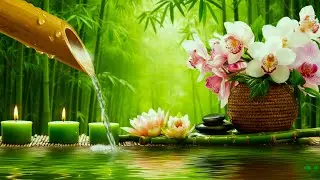 Relaxing Sleep Music with Piano & Water 🌿 Stress & Insomnia Relief