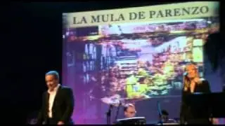 Sergio Pavat  - LA MULA DE PARENZO (40 GODINA).mpg