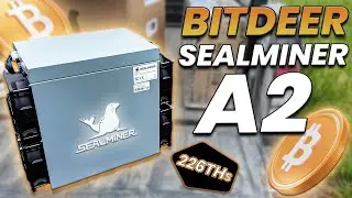 Bitdeer Sealminers better than Bitmain Antminers?! Bitdeer Sealminer A2 Review