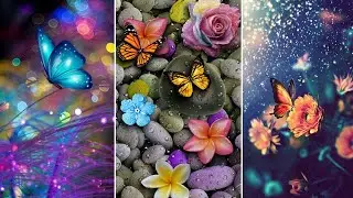 Unique Wallpapers | Hd Wallpapers | Wallpaper Images | Best Corner Wallpapers