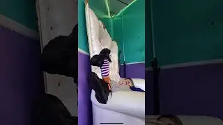 TikTok Live Feet: princessraneesa Livestream 