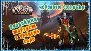 ТОРГАСТ СОЛО РАЗБОЙНИК (8 УРОВЕНЬ ЧЕРТОГИ СКОЛЬДА) 🔥 TORGHAST ROGUE SOLO 8 LEVEL