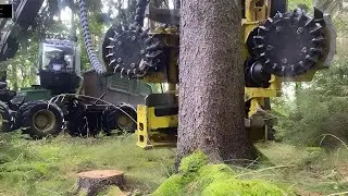 🚩Mega Machines Trees cutting machine Amazing Big Tree Harvest & Cutting Machines Working