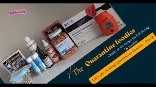 How To Make Fish Food During Quarantine Period|Selcon|Mysis|Krill