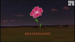 Discover Culinary Delights in Brockenhurst Village | SO4U
