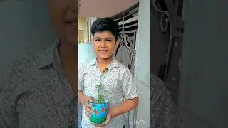 🌸Turning a flower pot into garden masterpiece 🎨 🌺 #handmade #painting #flowerpot #myhandmade