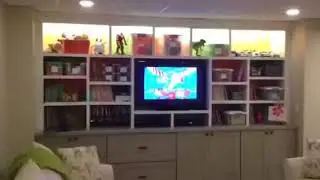 Cozy Basement with built ins