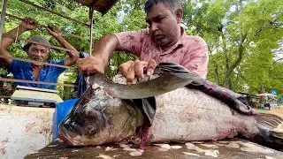 Very Big Catla Fish Cutting From Lorry In Rural Village Market