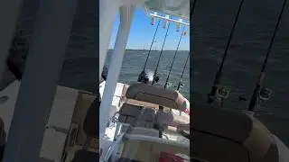 Reality of fishing in Charleston, SC