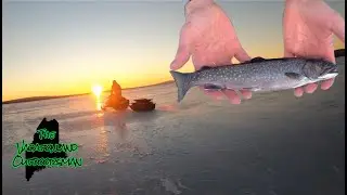 2022 Ice fishing Maine BROOK TROUT and LL SALMON